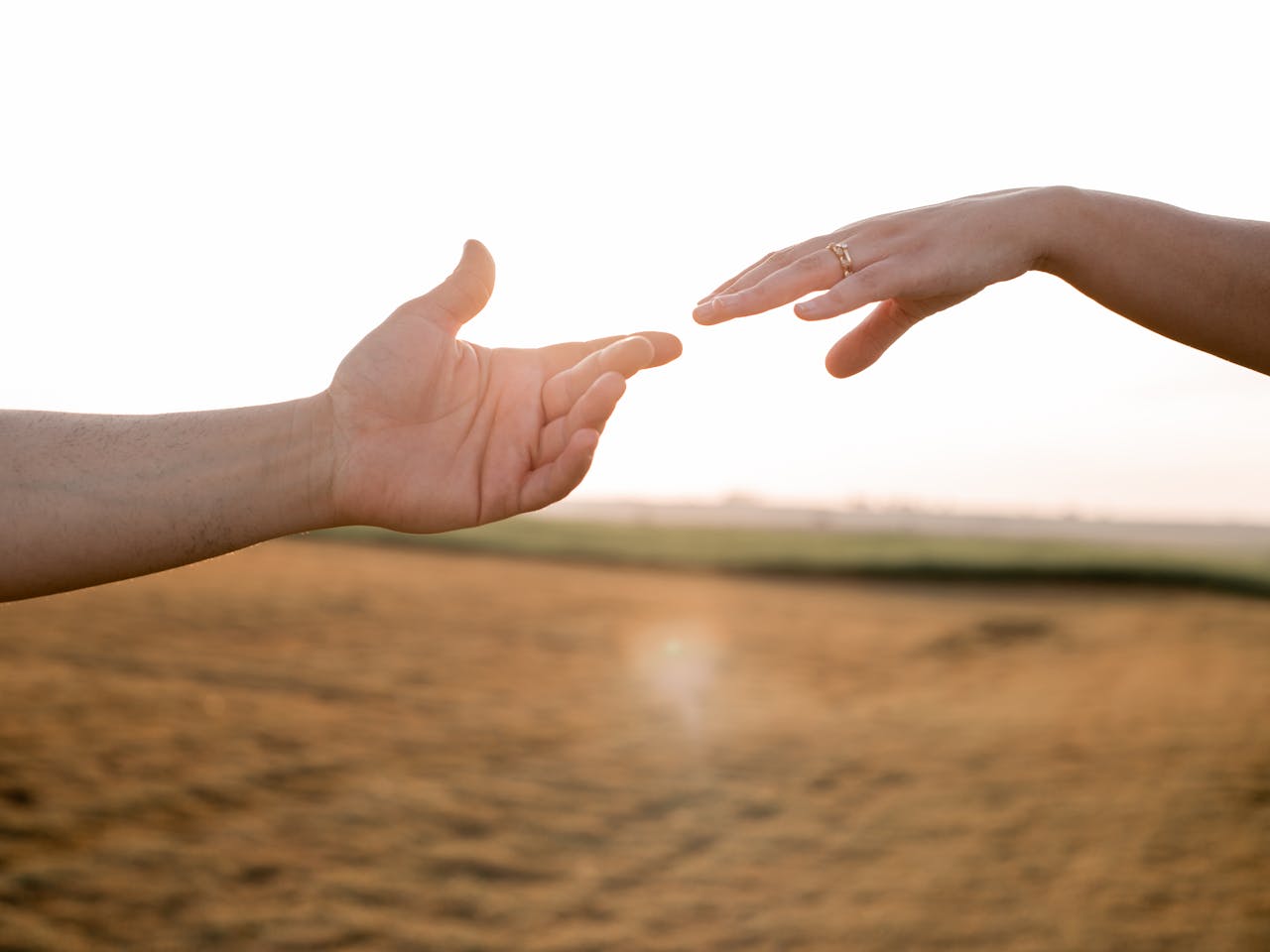Two hands reaching out in a field during sunset, symbolizing connection and love.