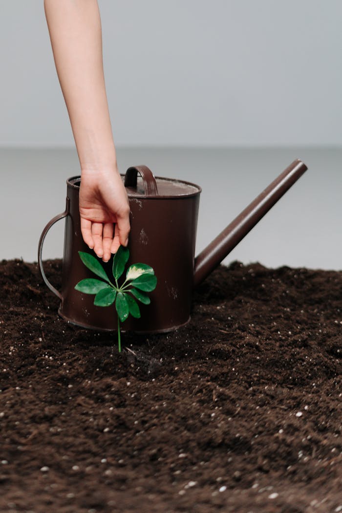 about-img A hand planting a green seedling next to a brown watering can in fertile soil.